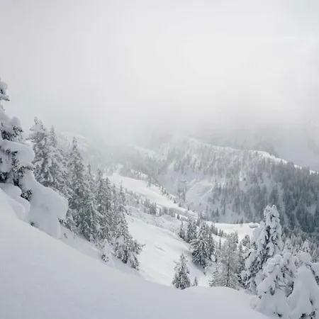 Ache-momo W. Naturepool & Watzmann View Appartamento *